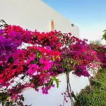 Villa Alegria Cala Egos