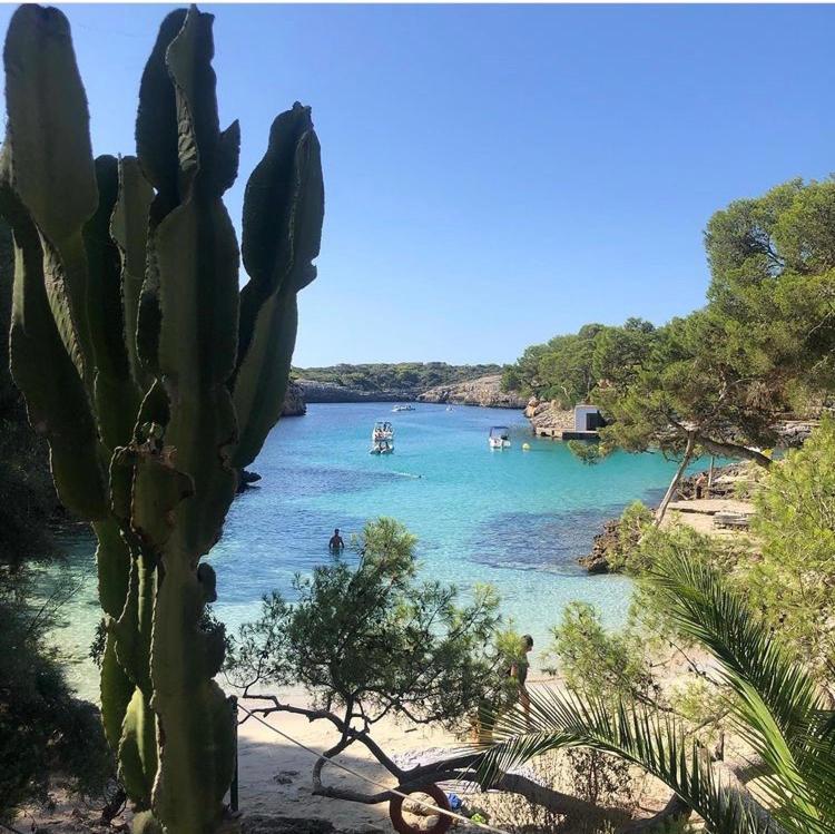 Alegria Cala Egos