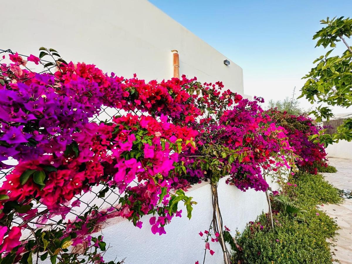 Alegria Cala Egos Villa Cala D´Or